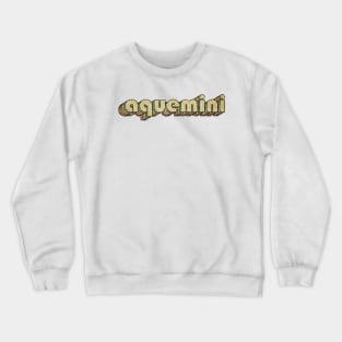 Aquemini // Vintage Rainbow Typography Style // 70s Crewneck Sweatshirt